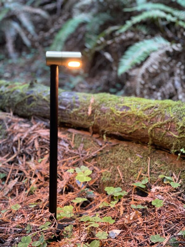 Redwood Path Light