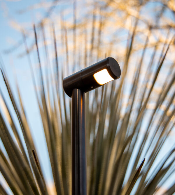 Black Redwood Path Light