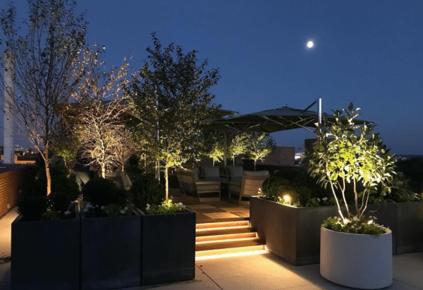 Brilliance LED Strip Light installed by Live Oak Lighting