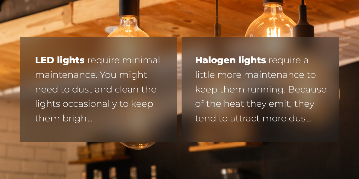 graphic on led vs halogen lights