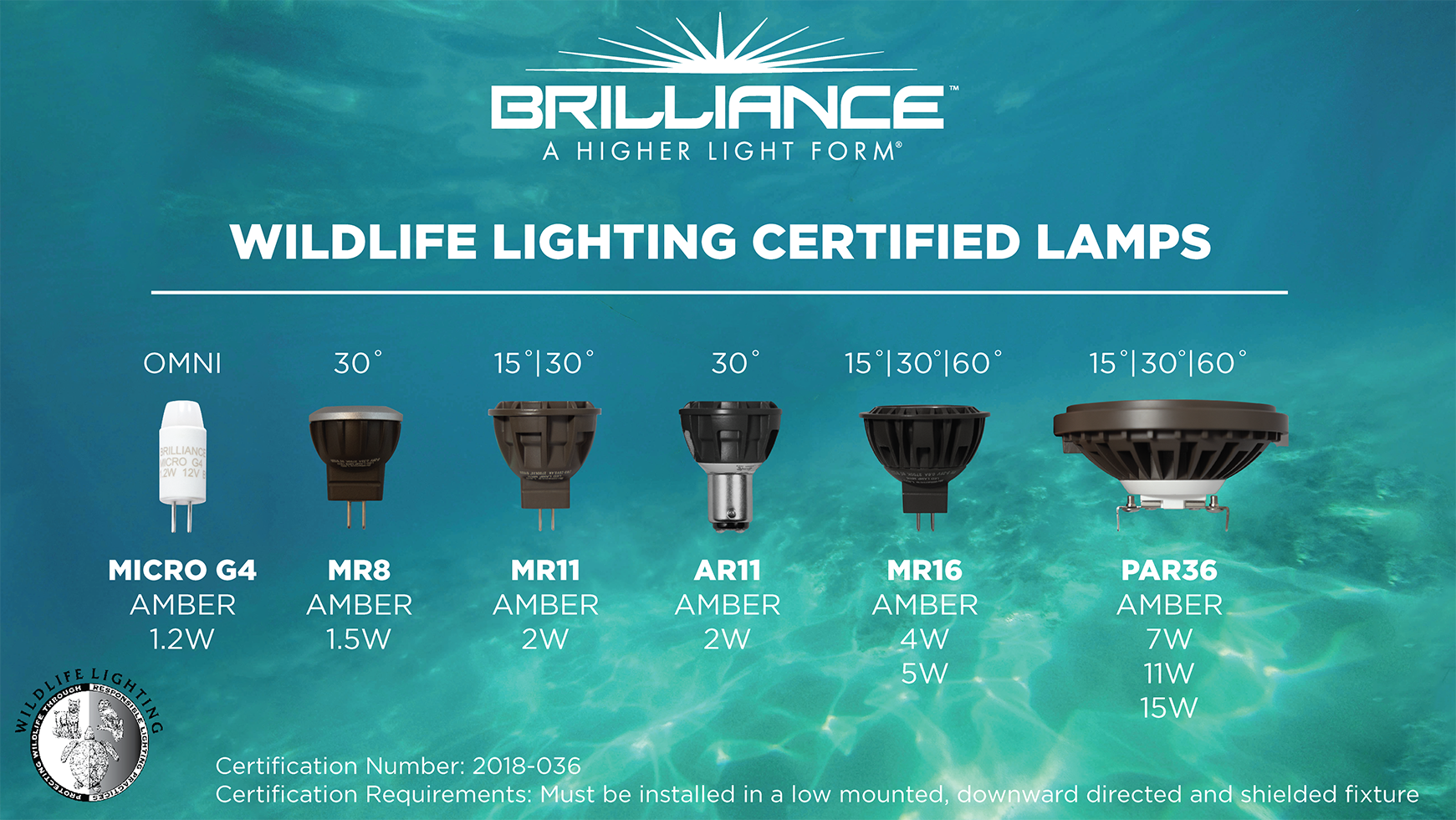 Amber Turtle Safe Certified Lamps