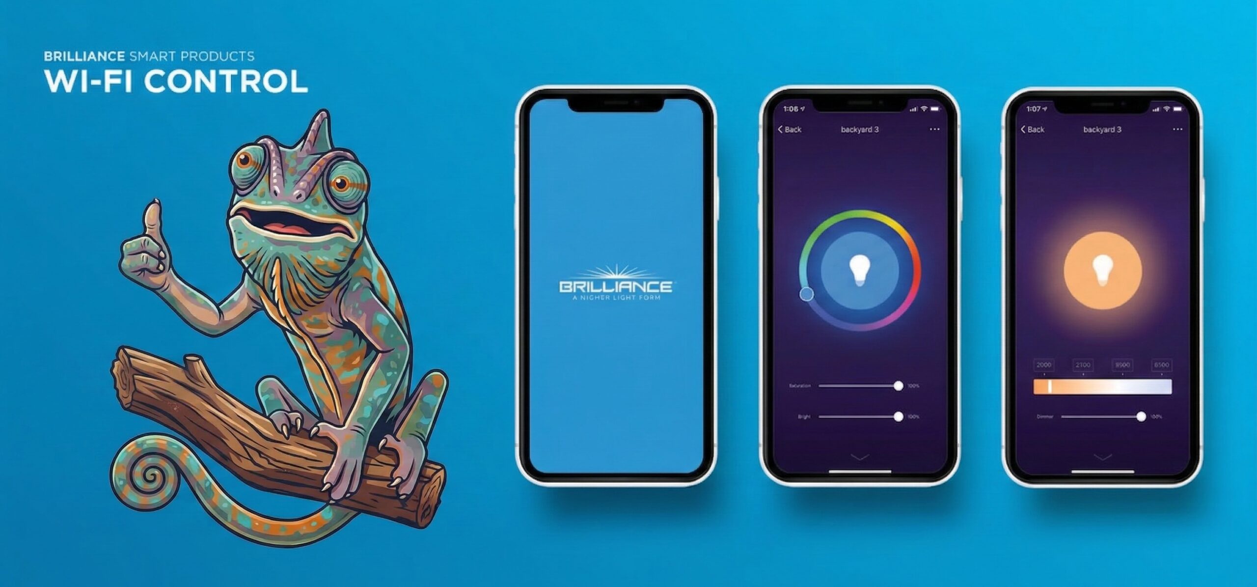 Brilliance Smart Wi-Fi Control Chameleon